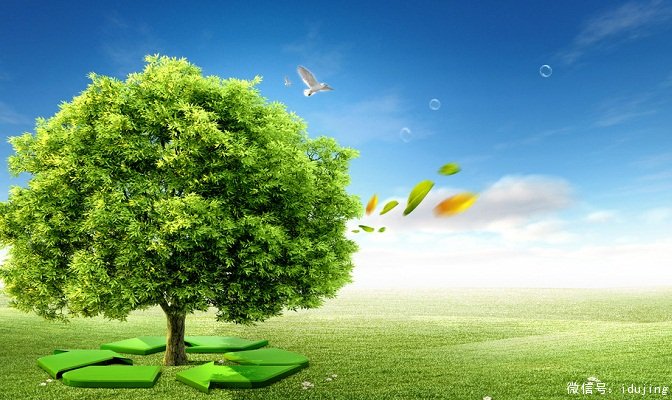 �й���Ӫ�� ���������ѧ�������ִ���ֵ