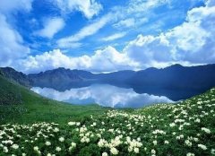 ���ƹ���ڣ���ѧ������������