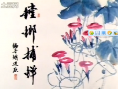 ˮī��������벶��