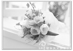 ������־֮�Ƿ����п͹۵���ʵ��