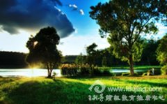 �ж�Ĳ������