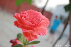 Ω����Ϧ�����µ�ҹ��