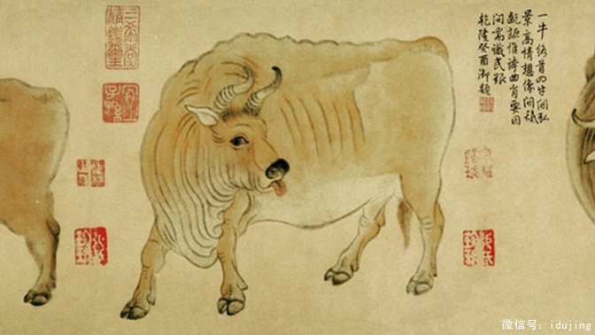 �ơ����꡶��ţͼ��