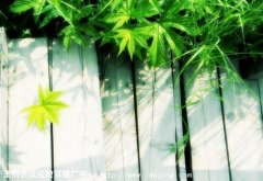 ����Ҫ�����ص����C���l