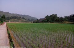 ������ǫѧ�ð�����Ƶ