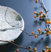 ���ƹ�|��ν���š�