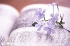 ���ƹ�|��ŵı���ģʽ