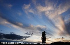 ��֪��������������α��ϳ�����