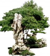 Ϊ�˸�ĸ��ʦ�����ǲ����Ļ�٪��֢��������