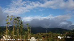 �������ѧУ��Ӣ�������������Ӫ�������棨7��16��-8��14�գ�