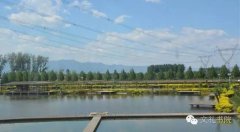 ��������ʦ��������Ժ��ѵ��������̩������ר�ⱨ��֮ҹ��«��԰