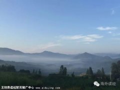 ������ͬѧ��������Ժ�Ͷ�������