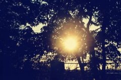 �賿�������һ�����������飿������һ�١�֮�˶ν�ƪ