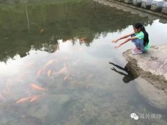 Ѱ�Ҷ����Ļ�ˮԴͷ����������Ժ��������Ӫ��Ӫʽ��������ʦ����