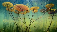 ����ô��޵���ô���ģ�