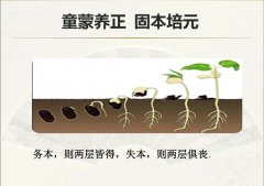 ���Ӷ����ˣ����������ӹ�