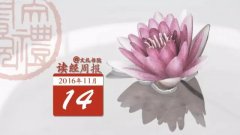 �����ܱ����������������10��29��~11��13�գ�