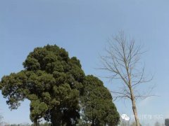 ��������Ĺ���֮003�š���������ͬѧ�Ķ��鹦��