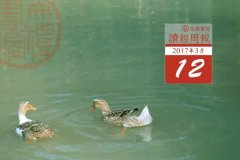 �����ܱ��������ϣ��