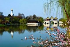 ��������-����վ��2017�ꡰ�߳�������˼���ع�����ǻۡ������������潲��