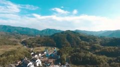 2017��������Ժ����Ӫ�������棨7��1��-7��20�գ�