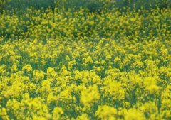 ����������������ƹ�����������Ժ���ϴ���ѵ����